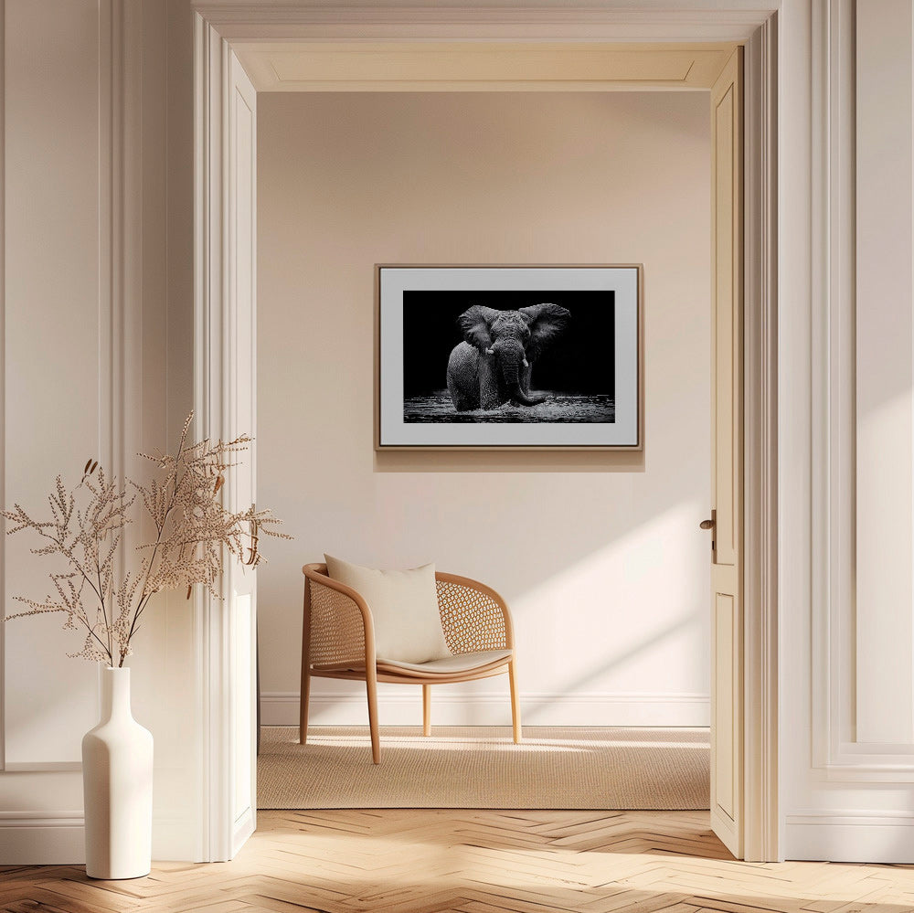 Cuadro elefante en agua, retrato en blanco y negro – Canvas2