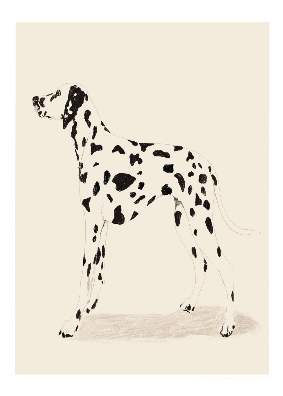 Pandc Dalmation - Unframed art print