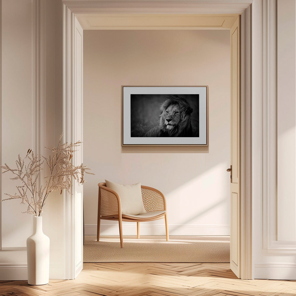 Cuadro león en retrato cinematográfico – Canvas2