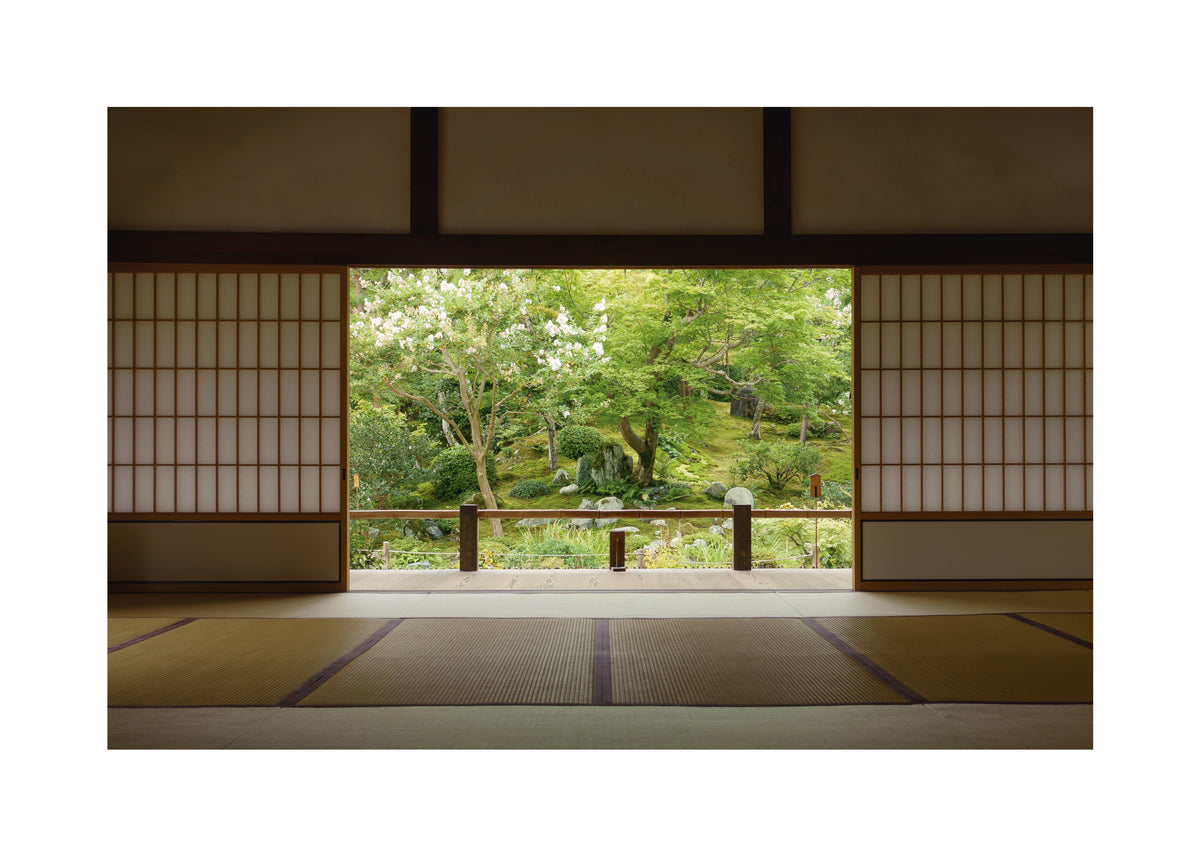 Zen Zone - Unframed art print