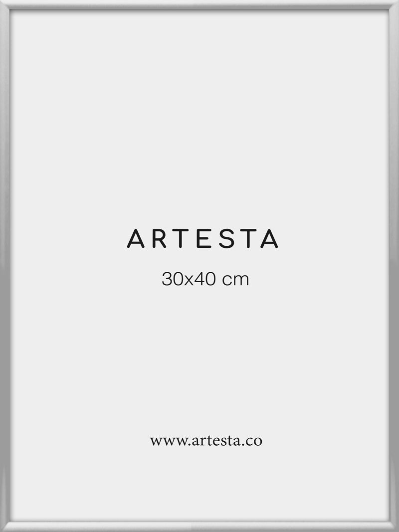 Marco plateado 30x40cm
