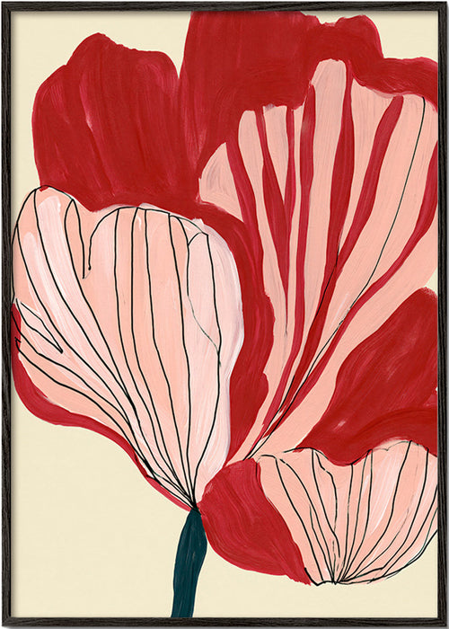Lámina botánica pétalos carmesí – Black Frame