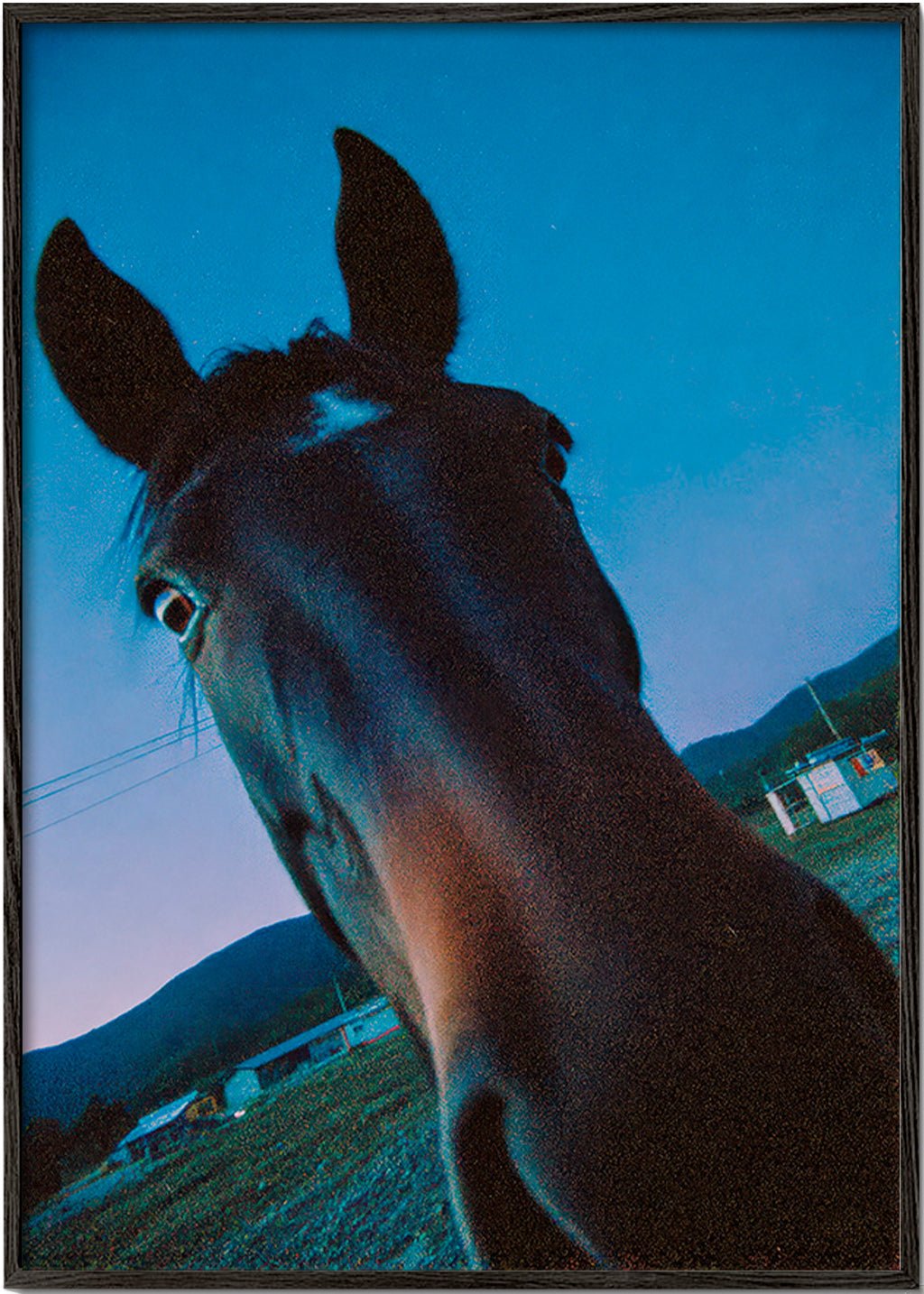 Cuadro caballo en primer plano nocturno – Black Frame