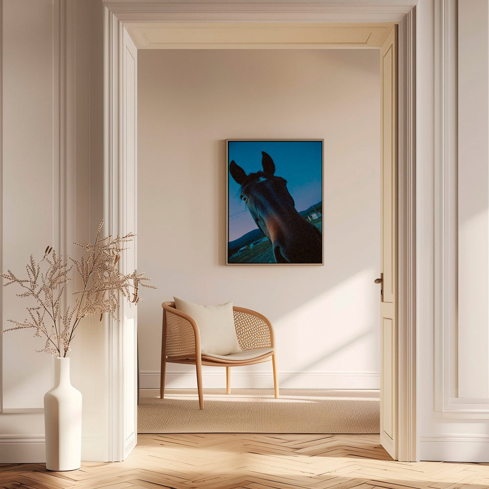 Cuadro caballo en primer plano nocturno – Canvas2
