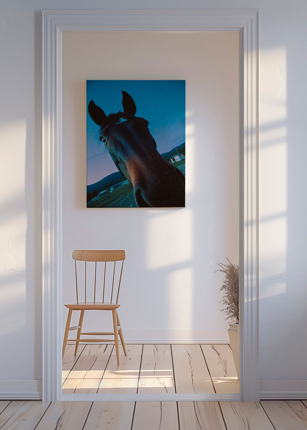 Cuadro caballo en primer plano nocturno – Canvas
