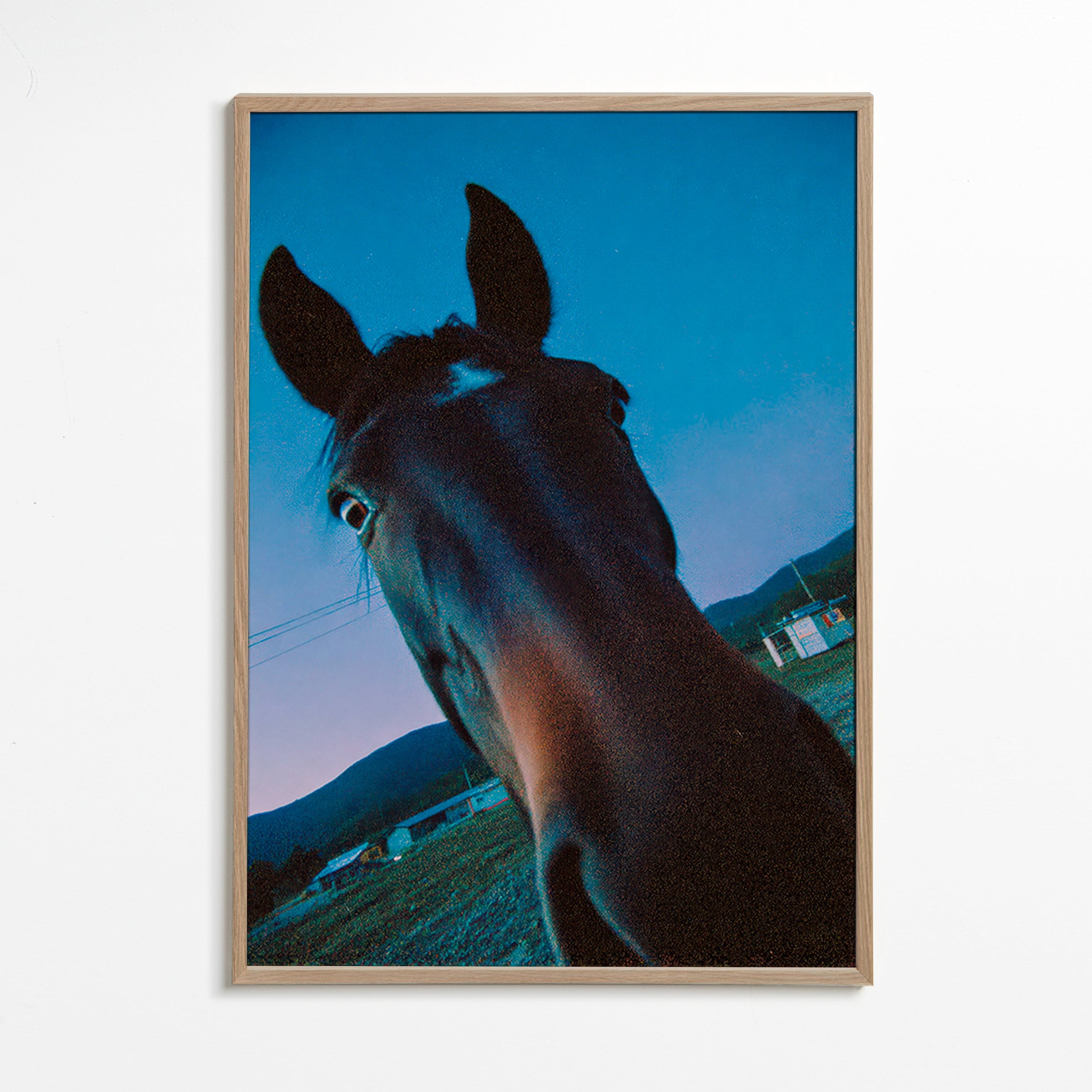 Cuadro caballo en primer plano nocturno – Oak Frame