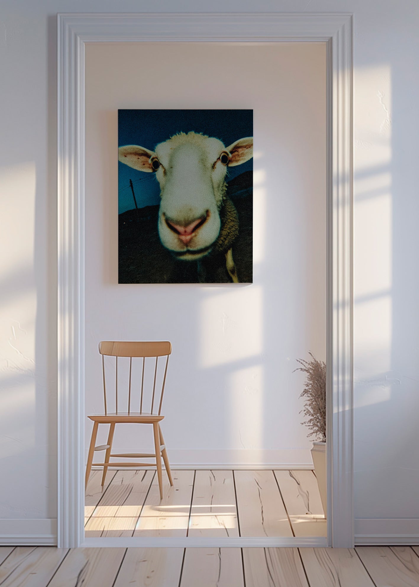 Cuadro de oveja en primer plano – Canvas