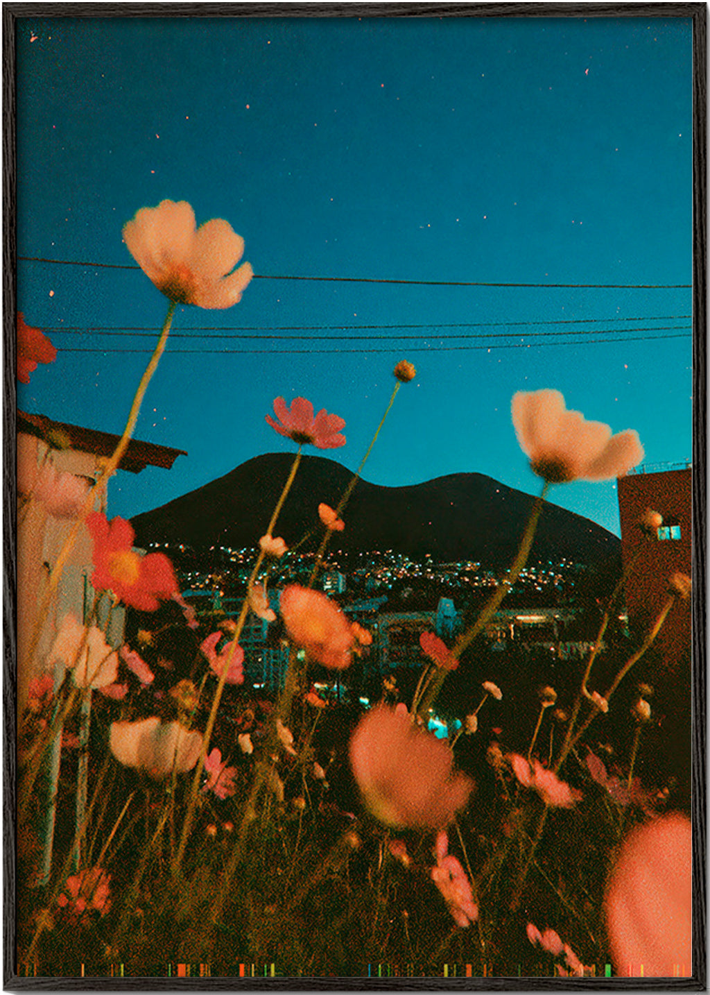 Lámina botánica con flores sobre ciudad al atardecer – Black Frame