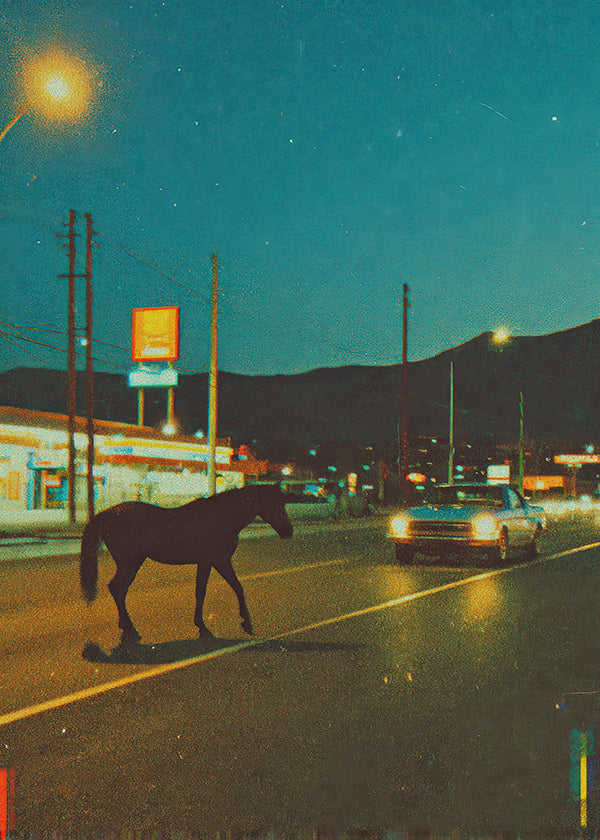 Cuadro caballo nocturno en carretera