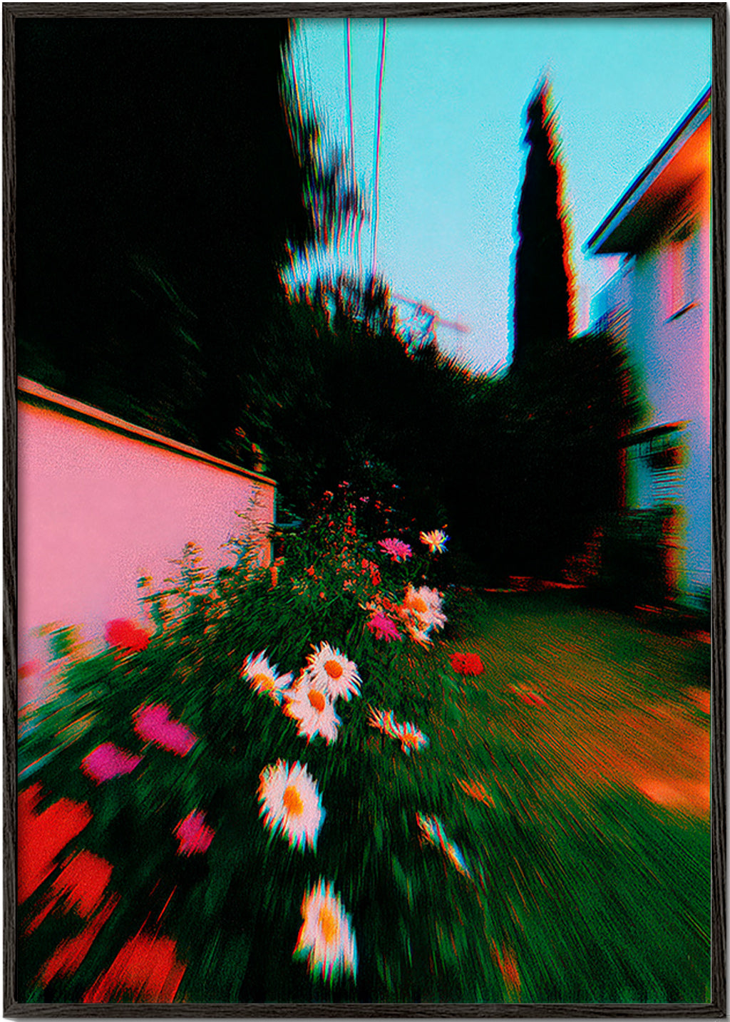Lámina botánica con jardín borroso y margaritas – Black Frame