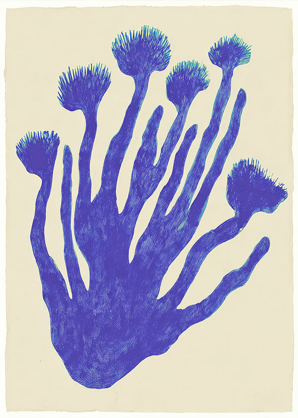 Lámina botánica Indigo Coral