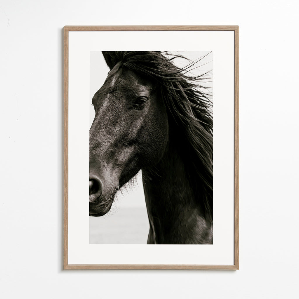Cuadro caballo negro en primer plano – Oak Frame
