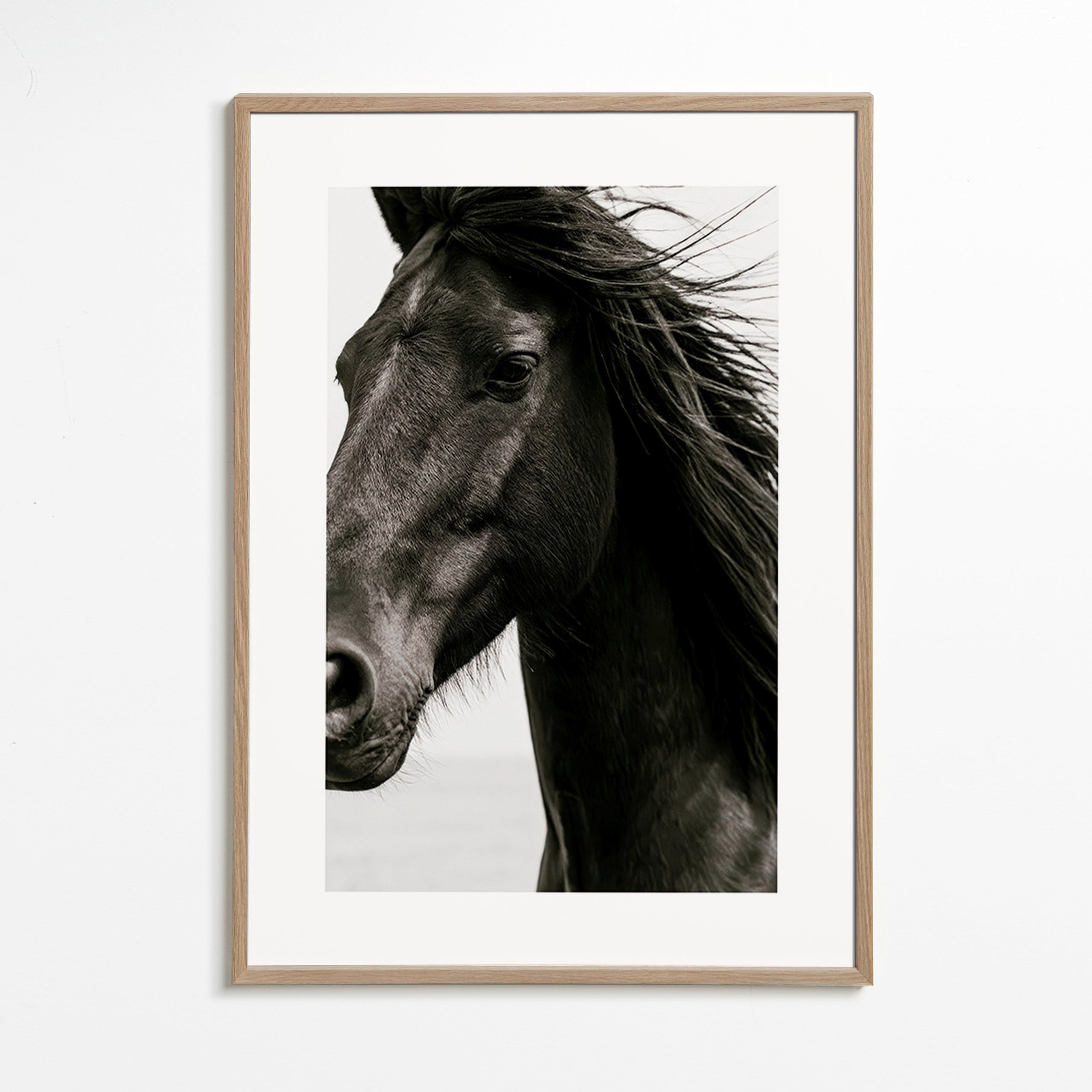 Cuadro caballo negro en primer plano – Oak Frame