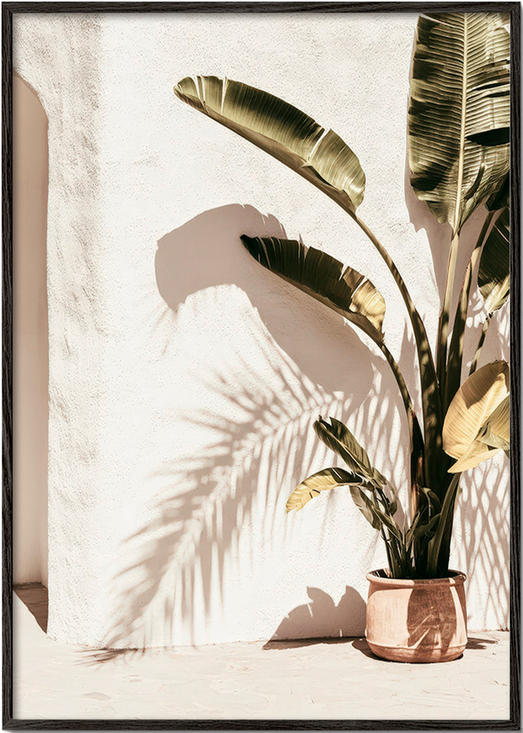 Lámina botánica: palma en maceta – Black Frame