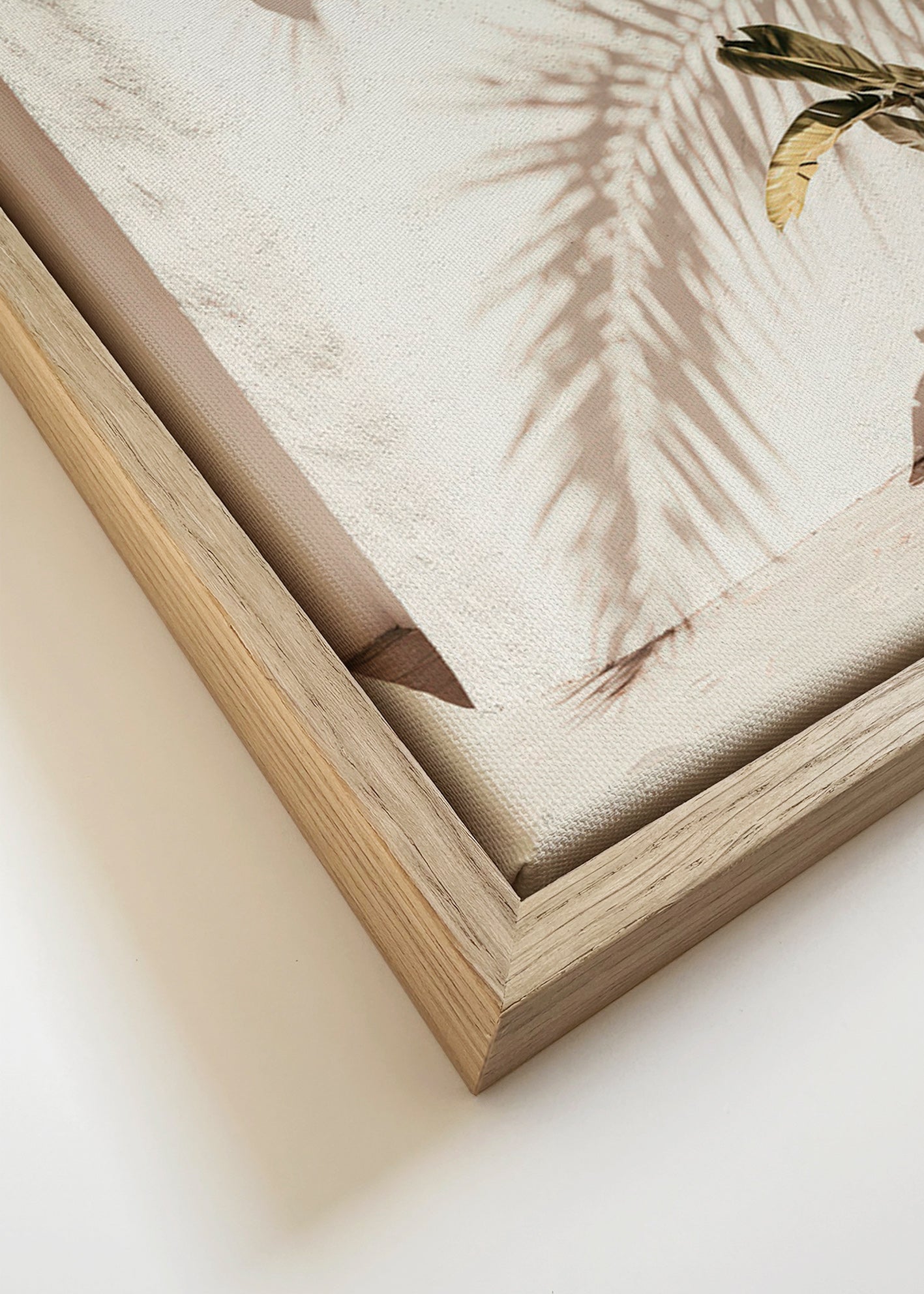 Lámina botánica: palma en maceta – Canvas detail