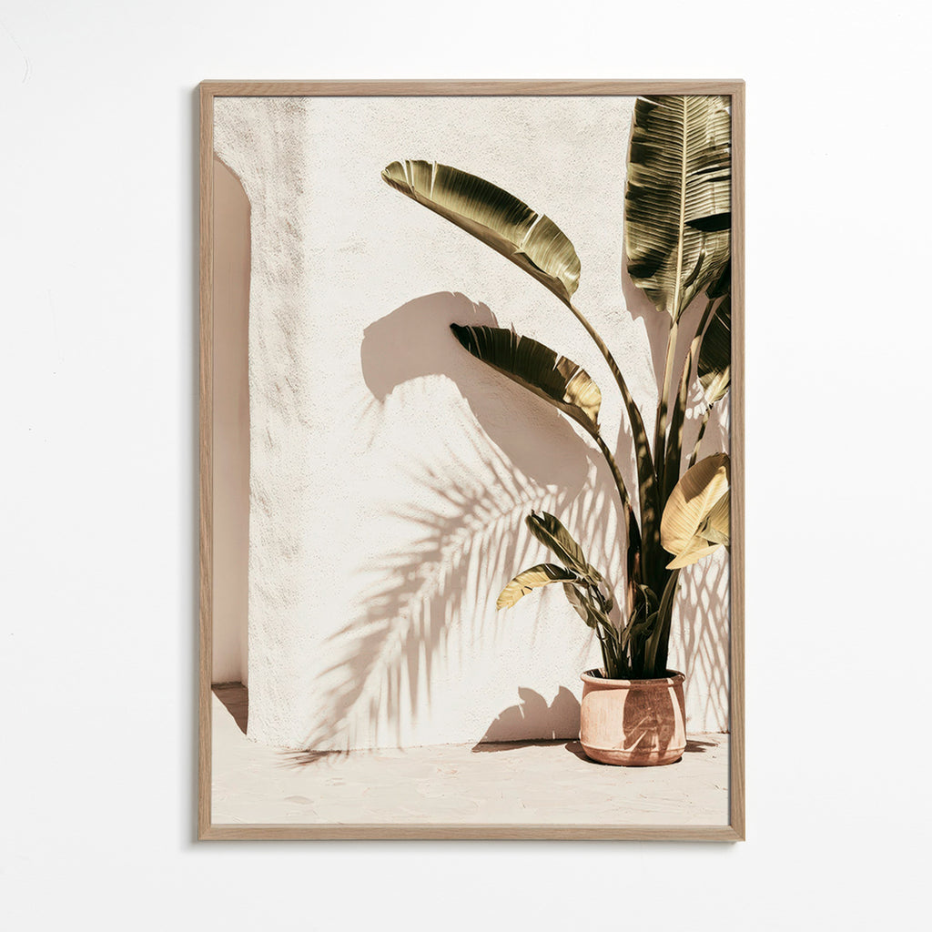 Lámina botánica: palma en maceta – Oak Frame