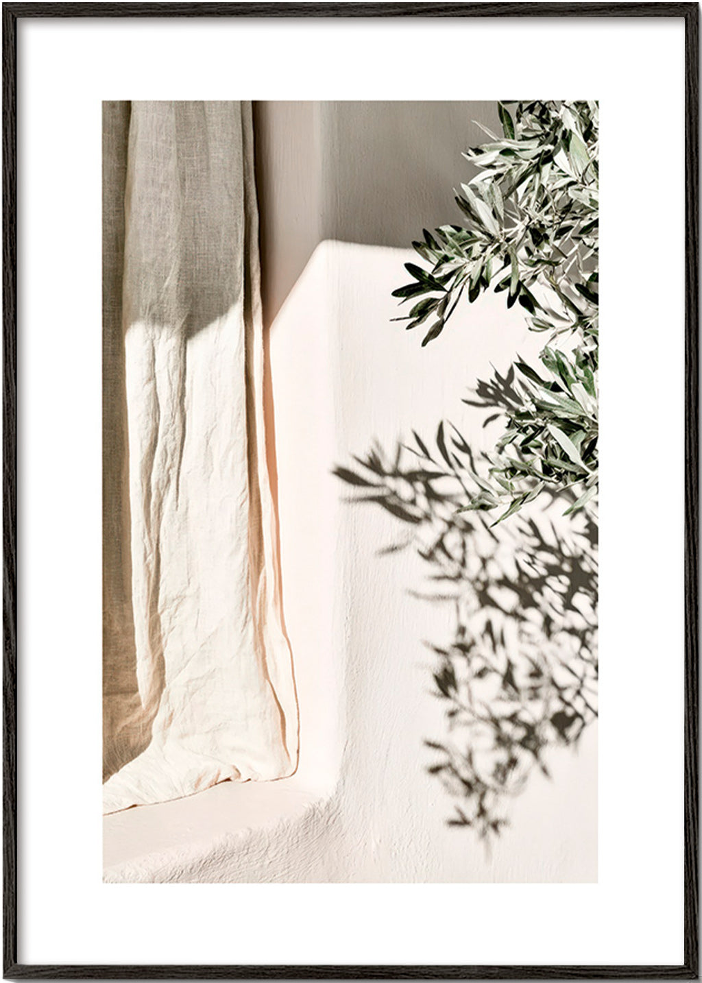 Lámina botánica con lino y ramas de olivo – Black Frame