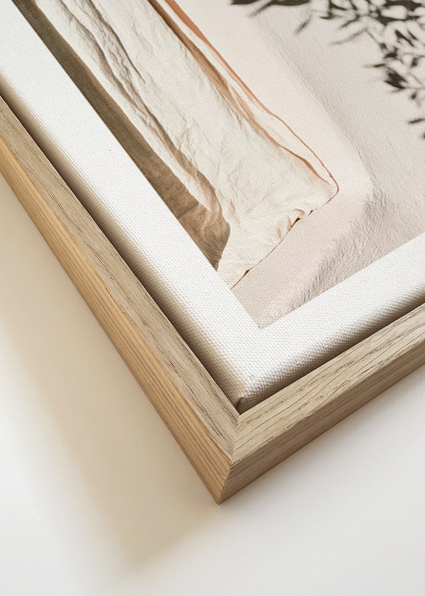 Lámina botánica con lino y ramas de olivo – Canvas detail