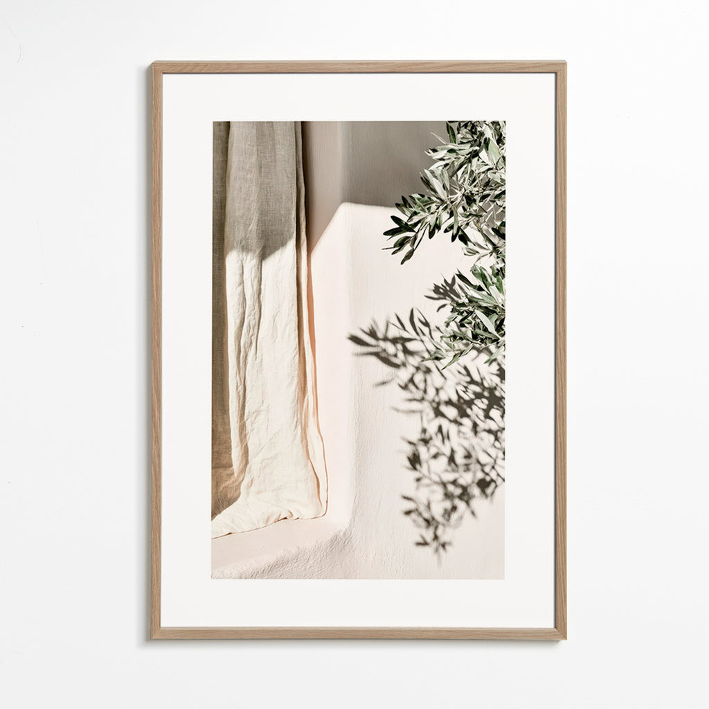 Lámina botánica con lino y ramas de olivo – Oak Frame