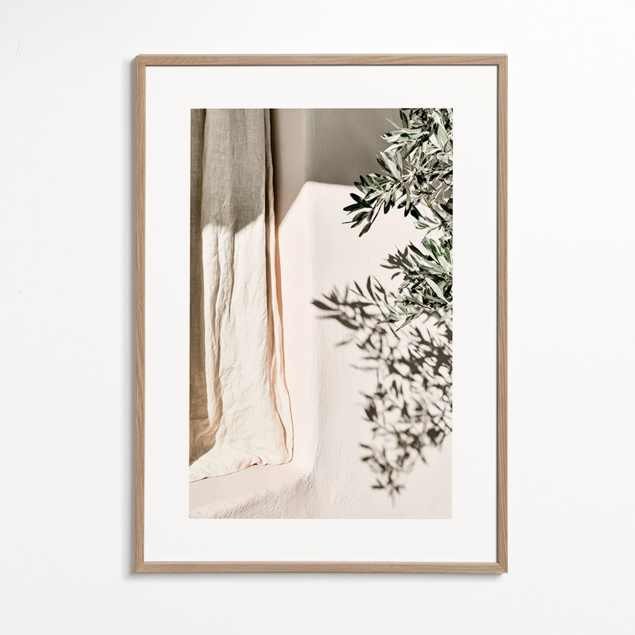 Lámina botánica con lino y ramas de olivo – Oak Frame