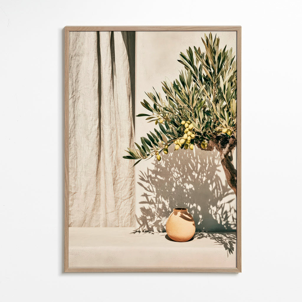 Lámina botánica rama de olivo – Oak Frame