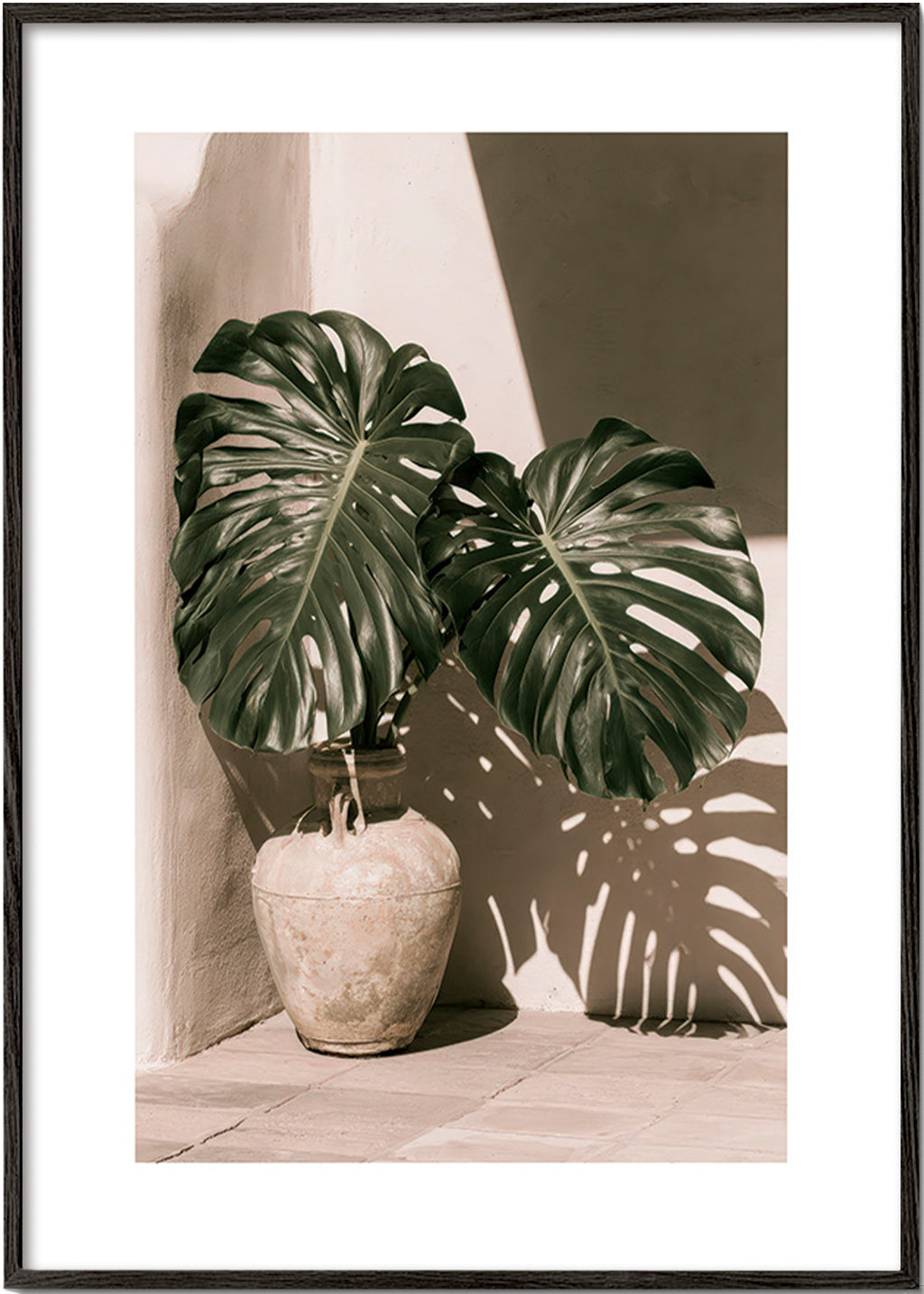Lámina botánica Monstera en maceta – Black Frame