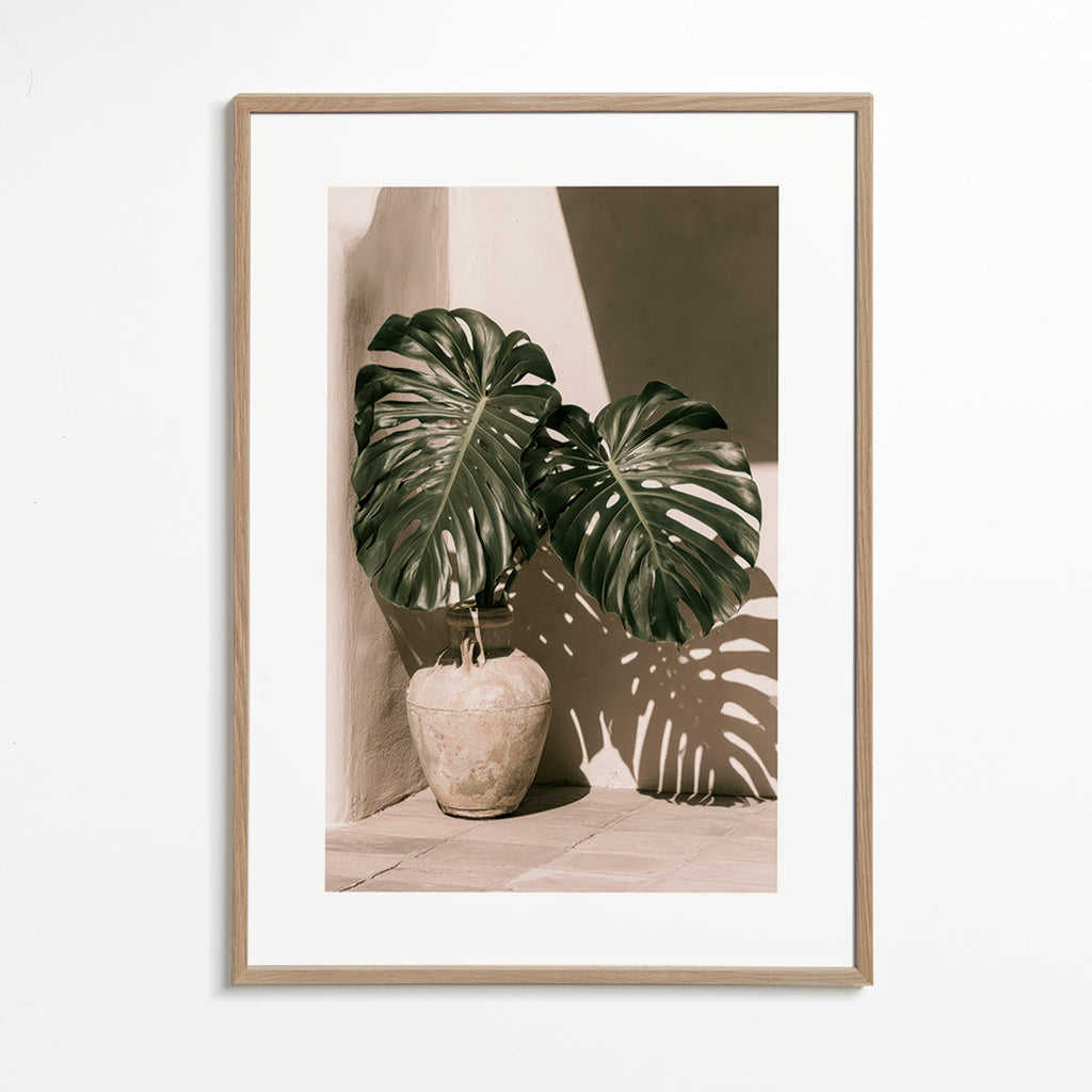 Lámina botánica Monstera en maceta – Oak Frame