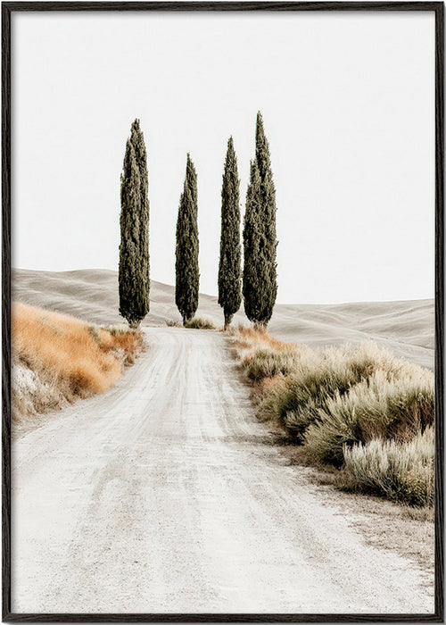 Cuadro de paisaje con cipreses en camino sereno – Black Frame