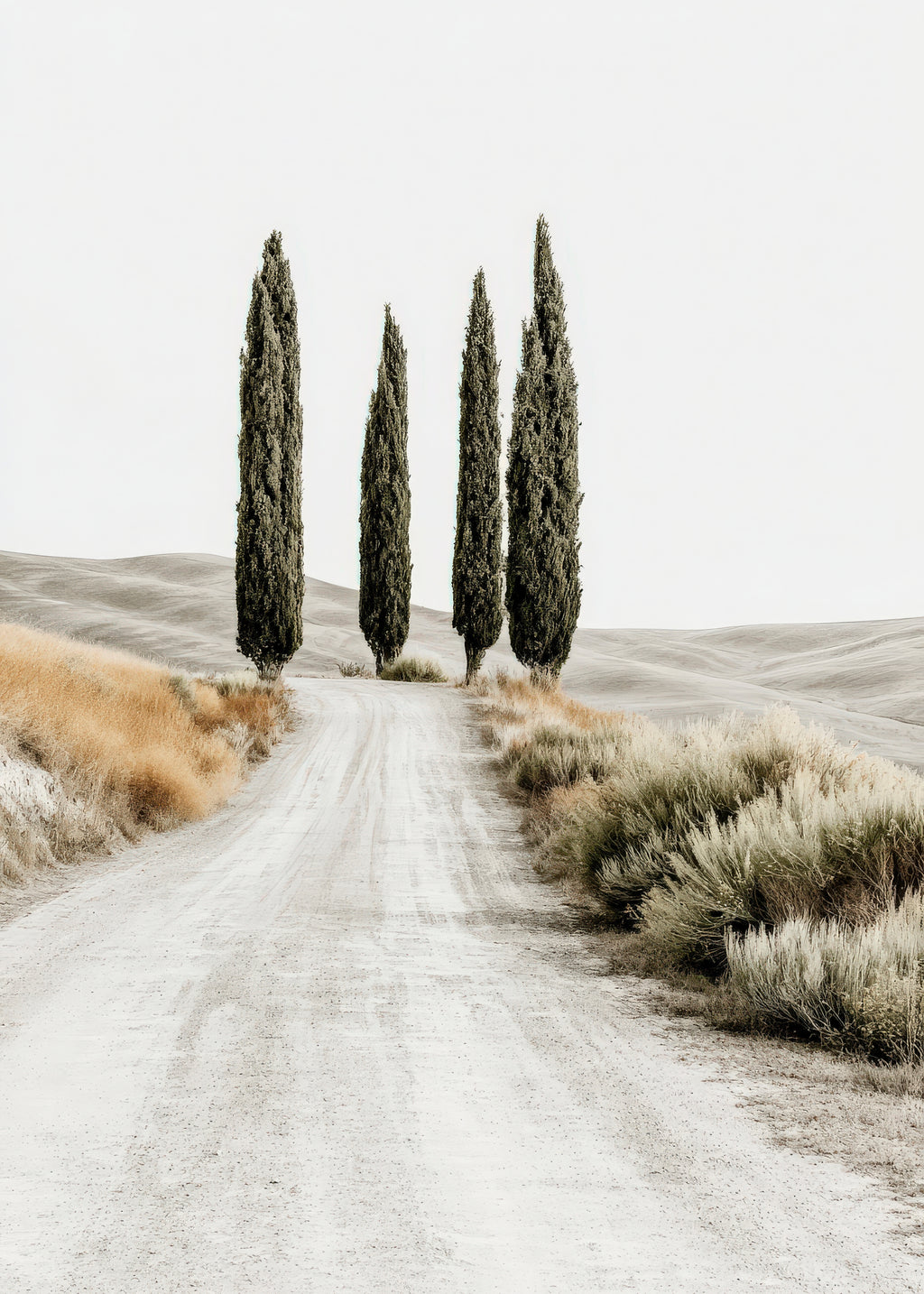 Cypress Road - Unframed art print