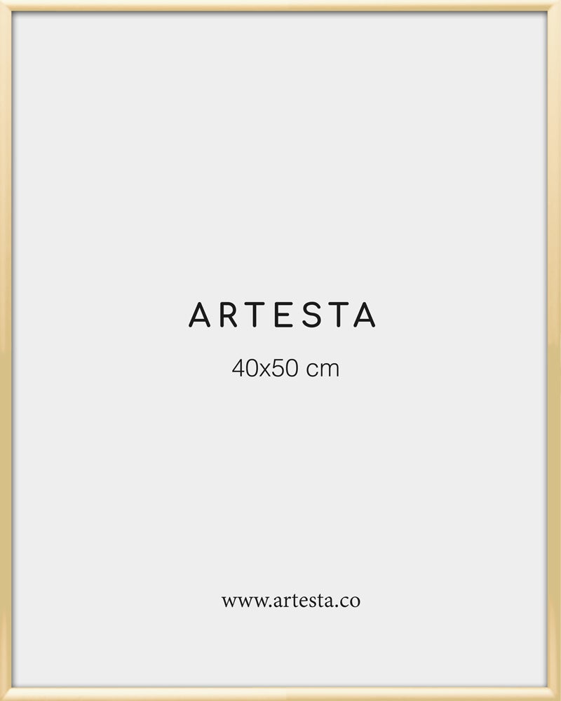 Marco dorado 40x50cm
