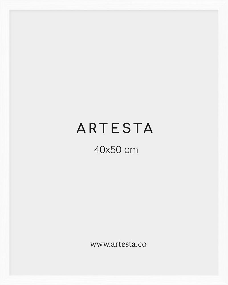 Marco blanco 40x50cm