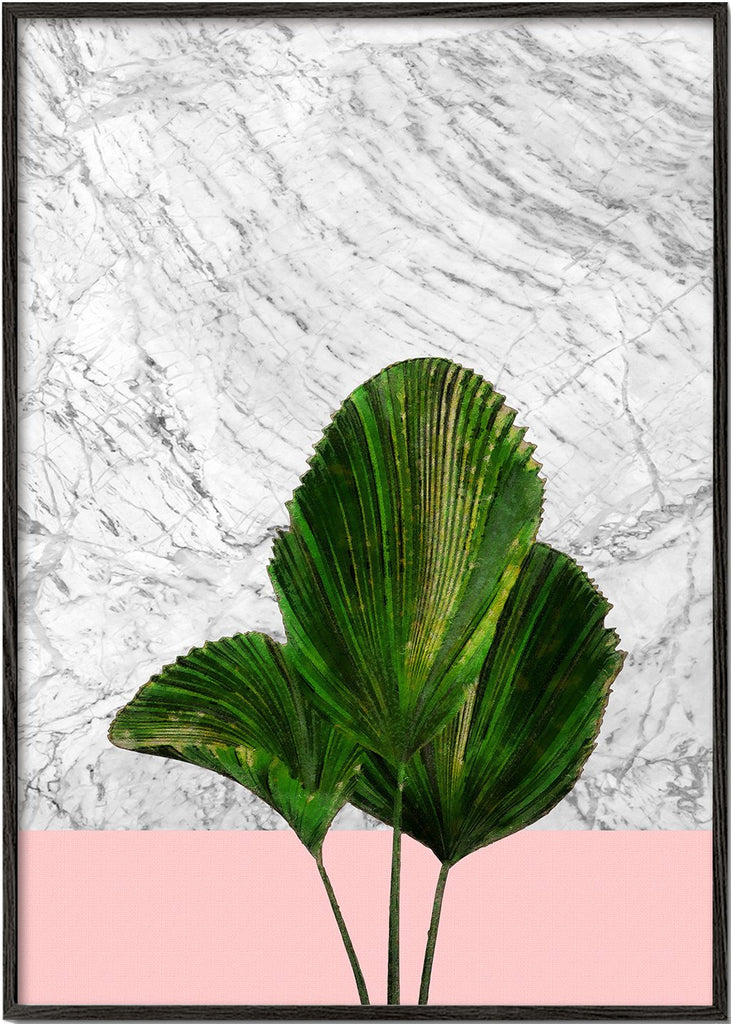 Palm plant on marble and pink wall