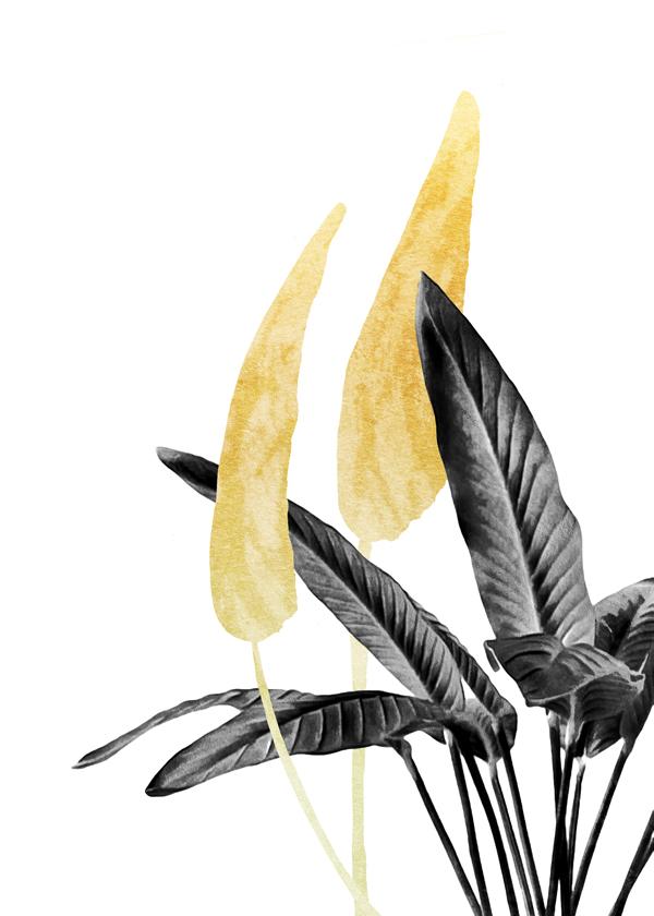Cuadro para cocina Boho Bird of Paradise Leaves III  Cuadros modernos y  láminas decorativas – Artesta