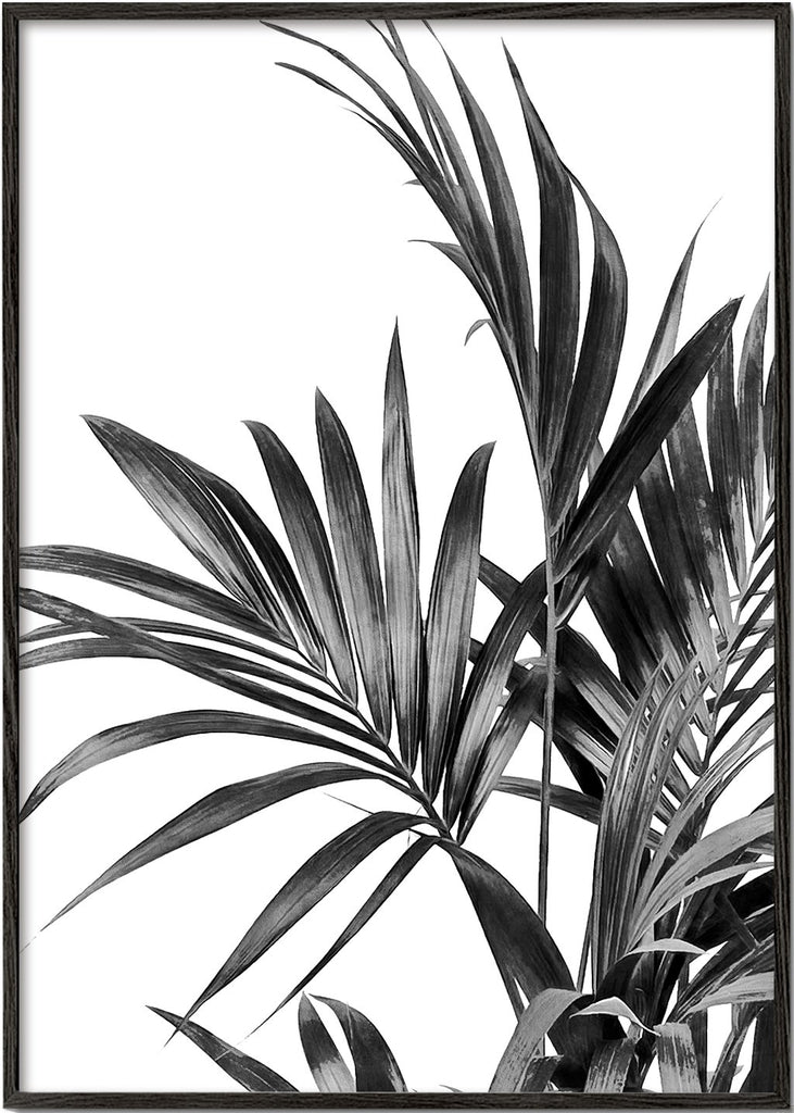 Palm Leaves Black and White 01