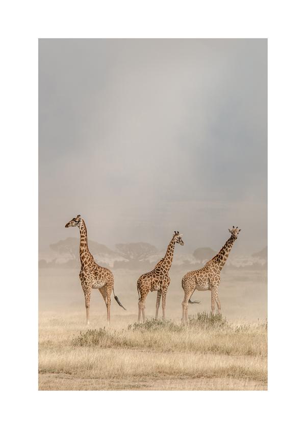 Weathering the Amboseli Dust Devils - Jeffrey C. Sink