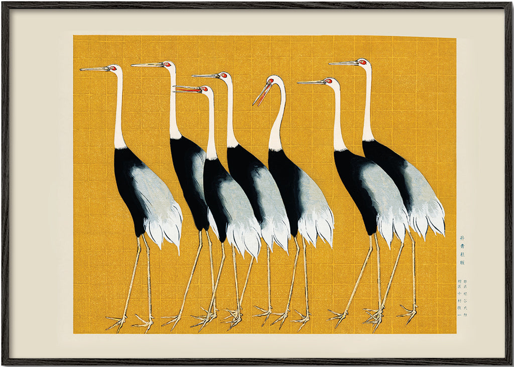 Japanese red-crowned crane vintage illustration
