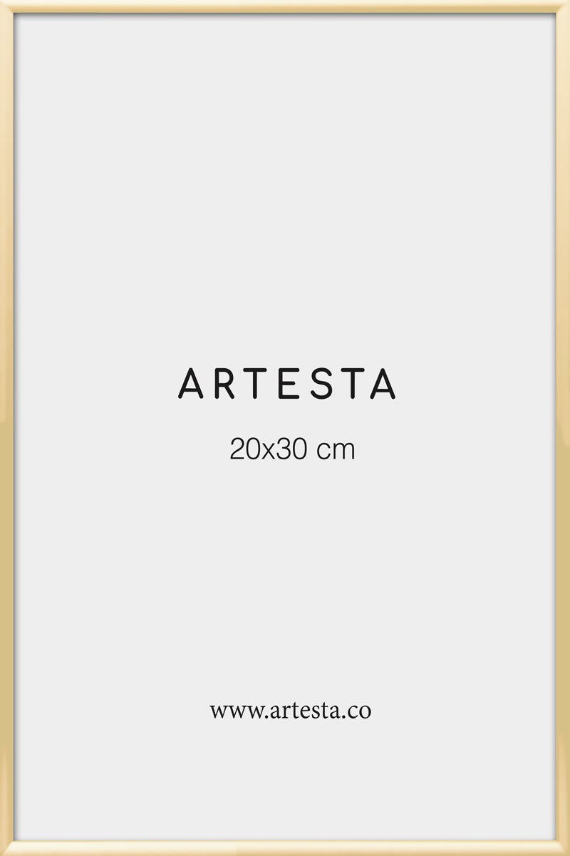 Marco dorado 20x30cm - Marcos para cuadros modernos – Artesta