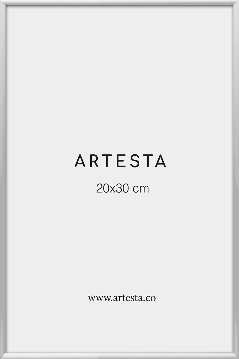 Marco plateado 20x30cm - Marcos para cuadros modernos – Artesta