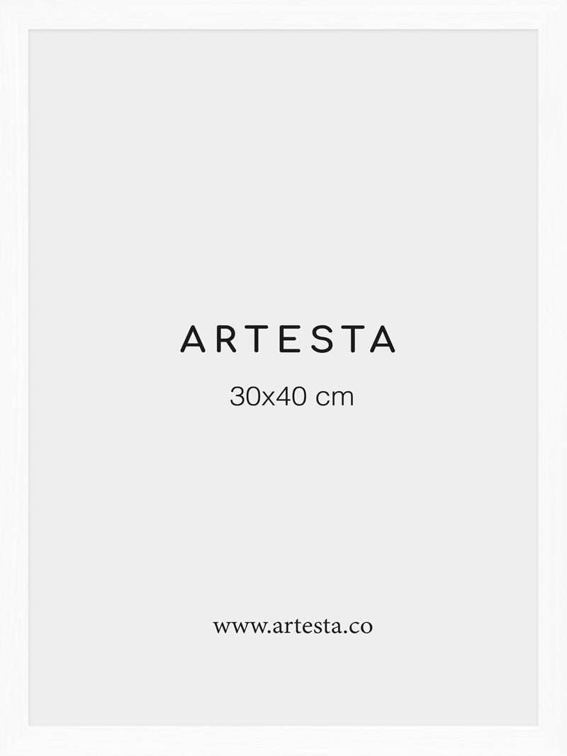 Marco blanco 30x40cm - Marcos para cuadros modernos – Artesta