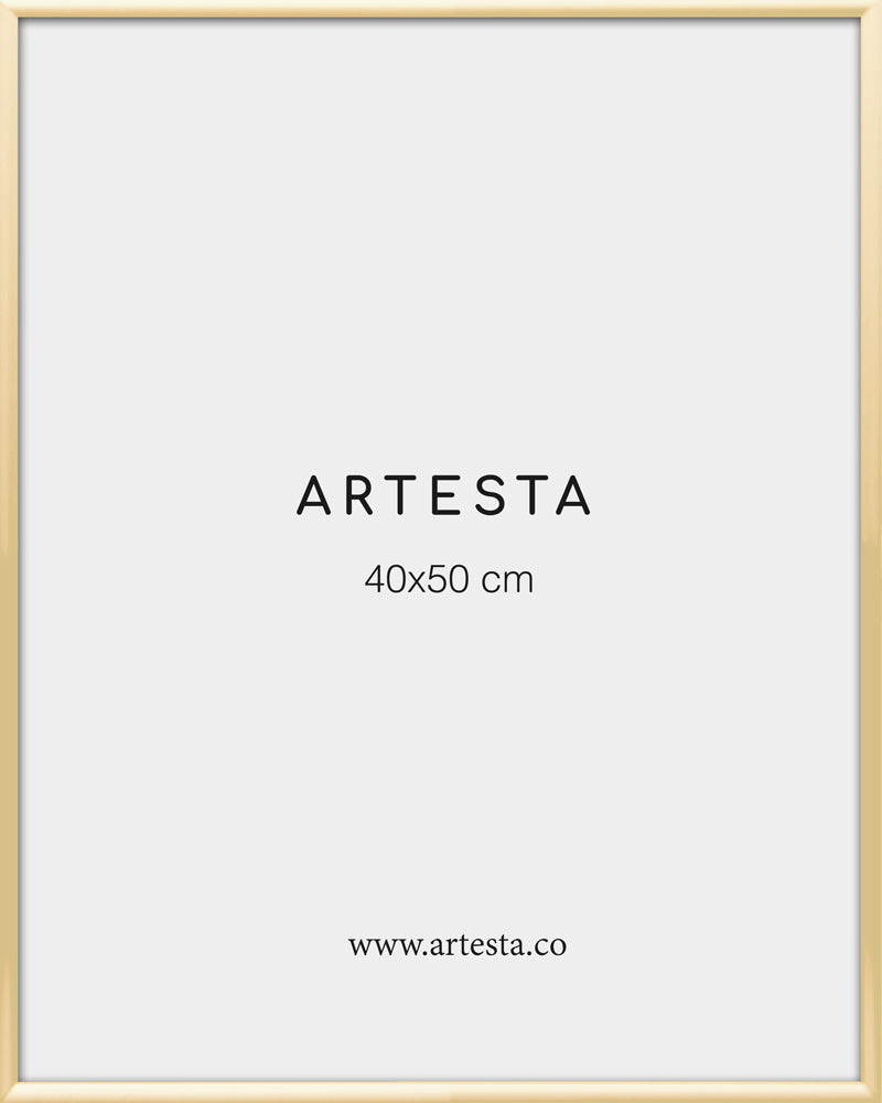 Marco dorado de aluminio 40x50cm - Marcos para cuadros modernos – Artesta