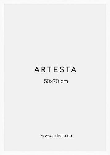 Marcos de 50x70cm - Marcos para cuadros modernos – Artesta