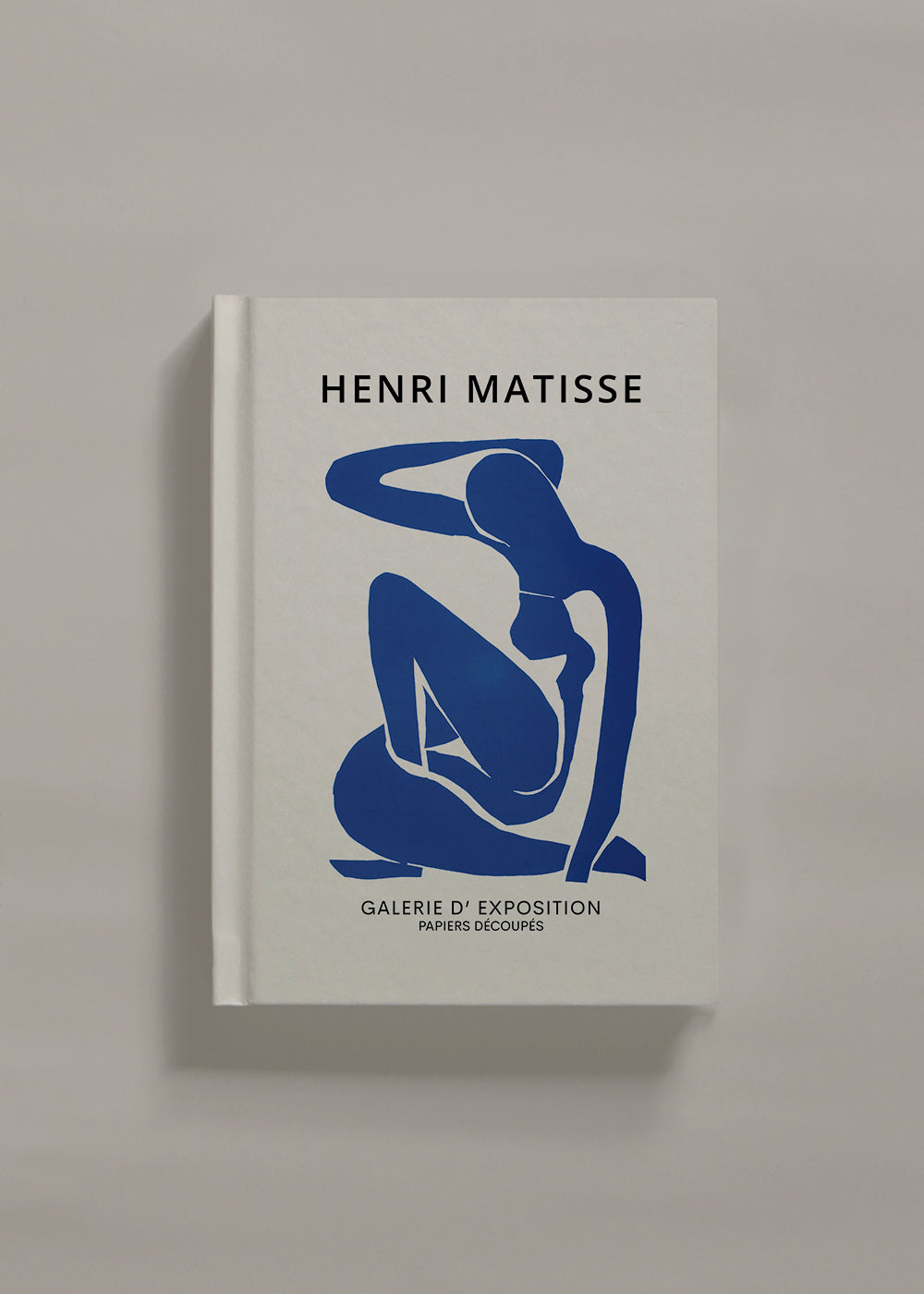 Henri Matisse NUDE